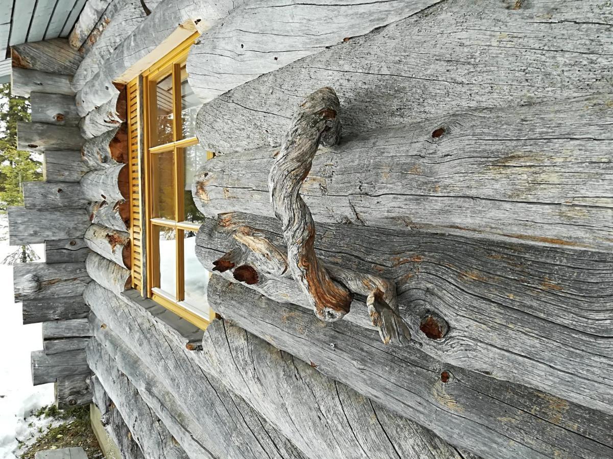 Logwood Chalet Luosto Kültér fotó