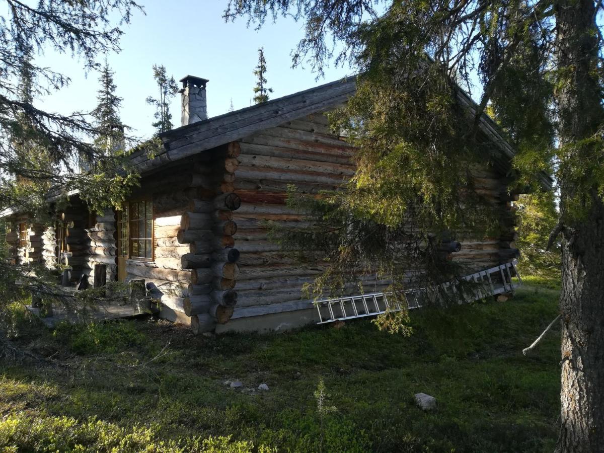 Logwood Chalet Luosto Kültér fotó