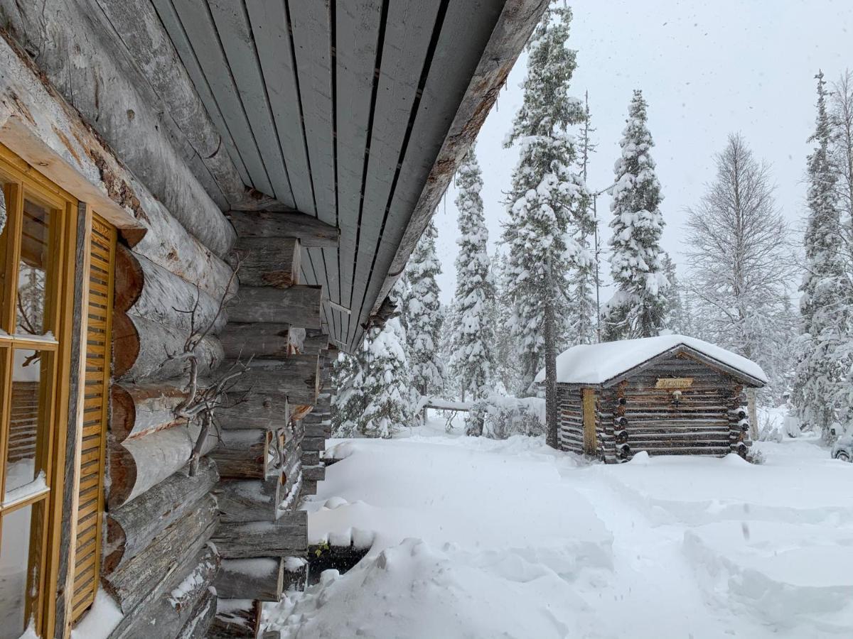 Logwood Chalet Luosto Kültér fotó