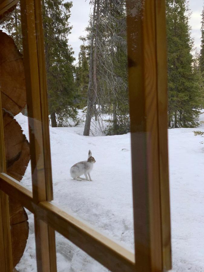 Logwood Chalet Luosto Kültér fotó