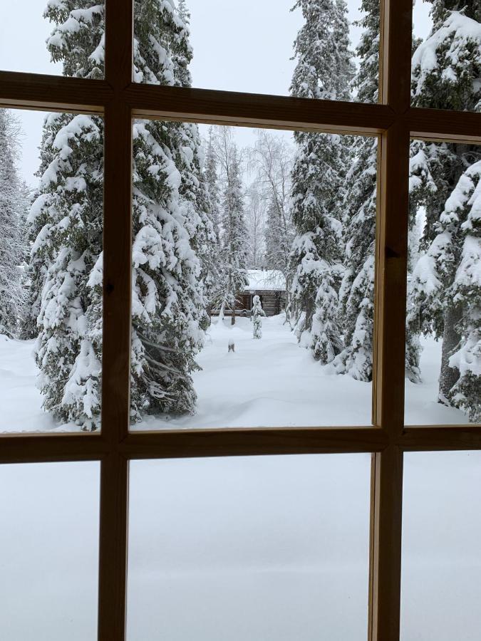 Logwood Chalet Luosto Kültér fotó